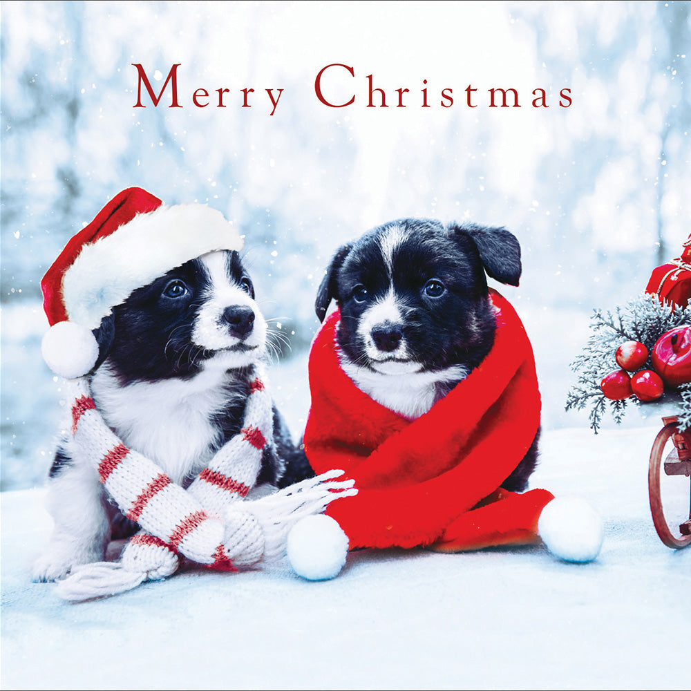 Pack of 5 Cosy Nights Charity Christmas Cards