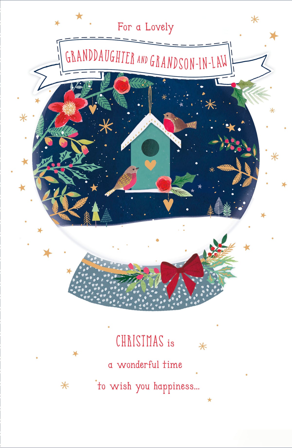 Granddaughter & ... Multi Caption Christmas Greeting Card & Stick On Captions