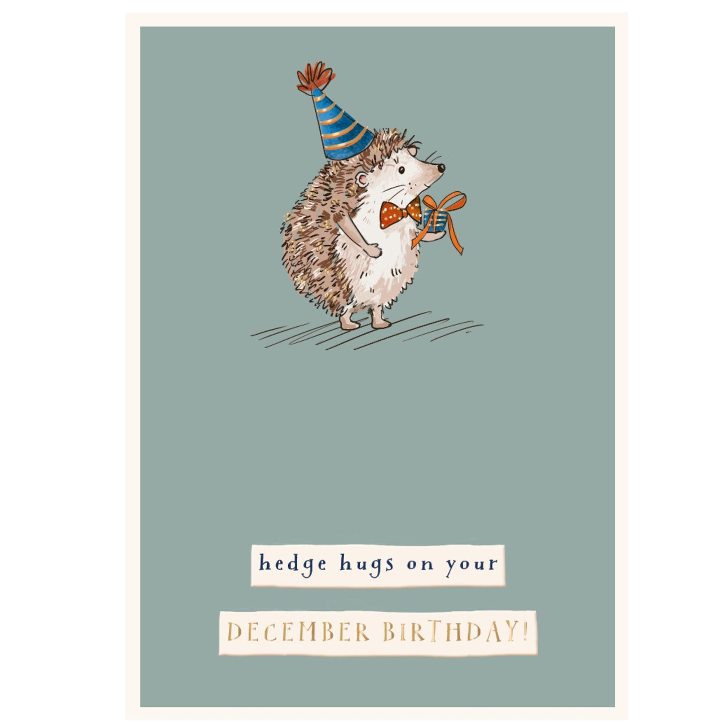 On Your December Birthday Foiled Birthday Greeting Card