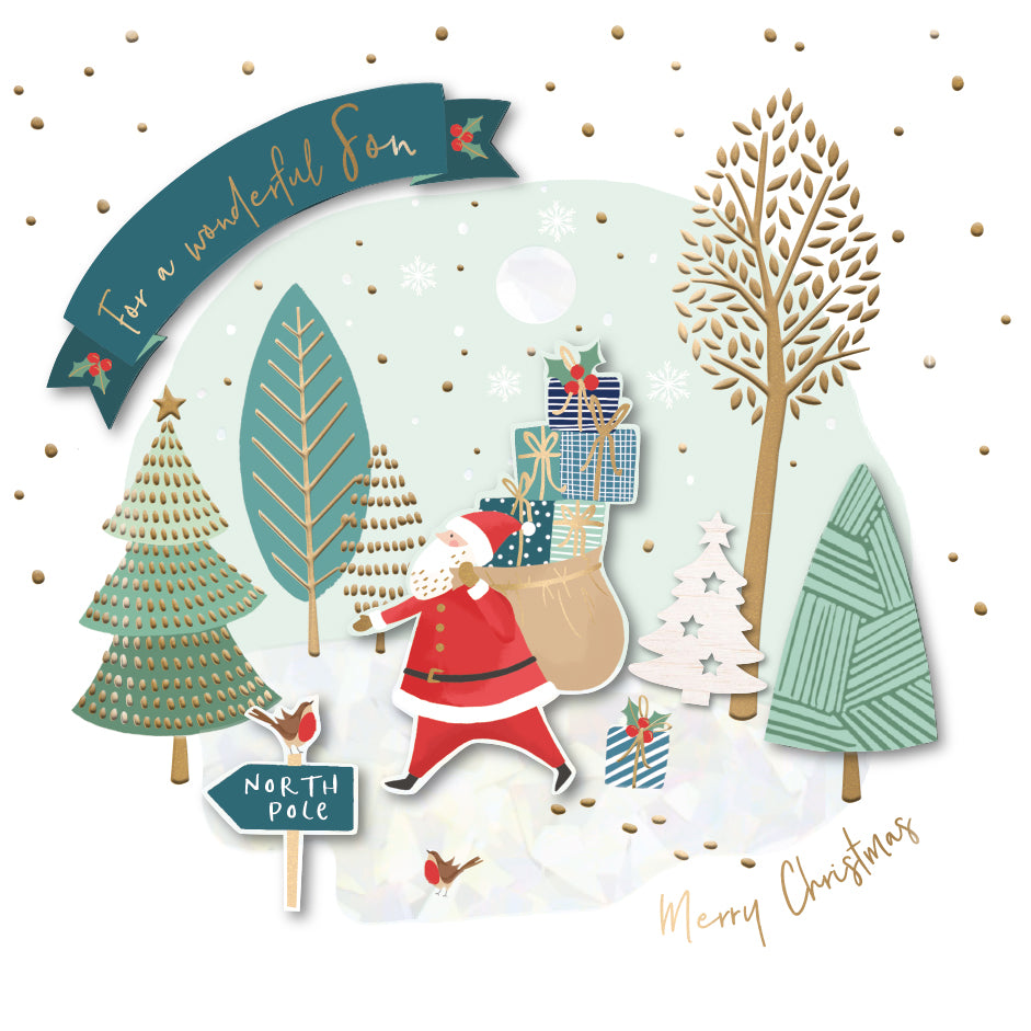 For A Wonderful Son Embellished Christmas Greeting Card