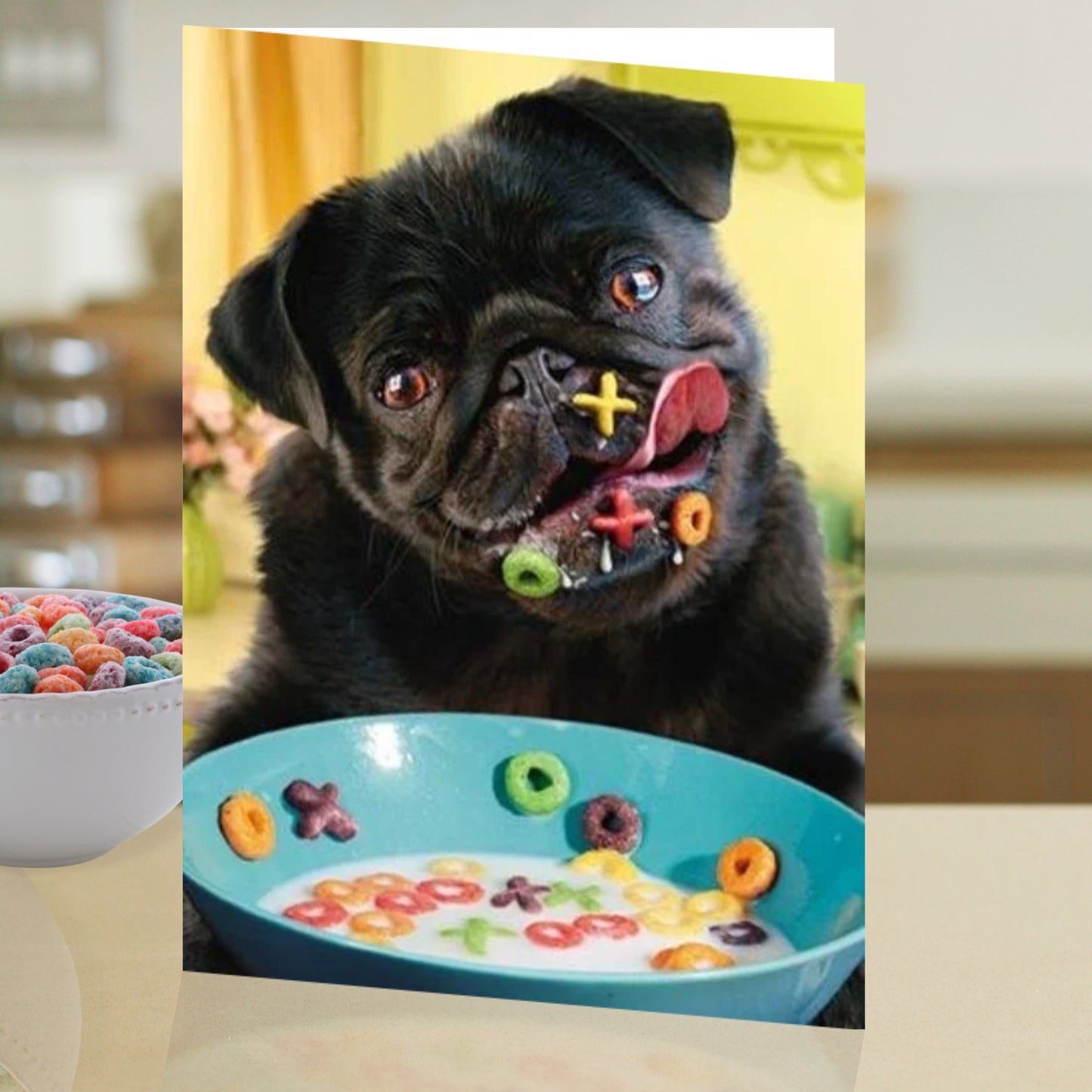 Avanti XOXO Valentine's Day Pug Funny Greeting Card