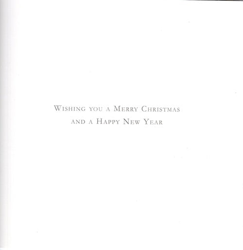 Box Of 30 Artistic Charity Christmas Cards By Ling Xmas Charity Card Boxes