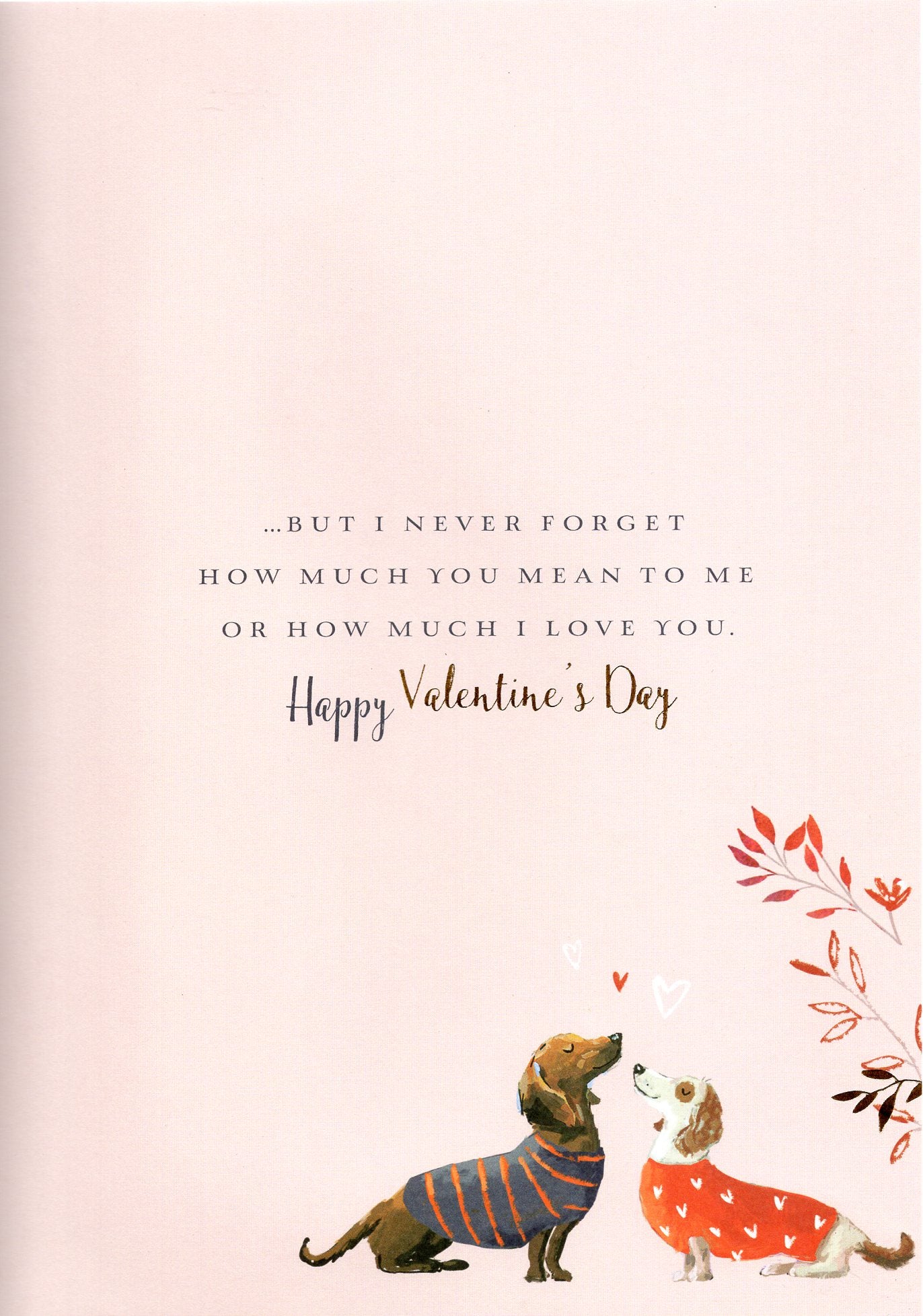 Wonderful Wife Sausage Dog Foiled Valentine's Day Card