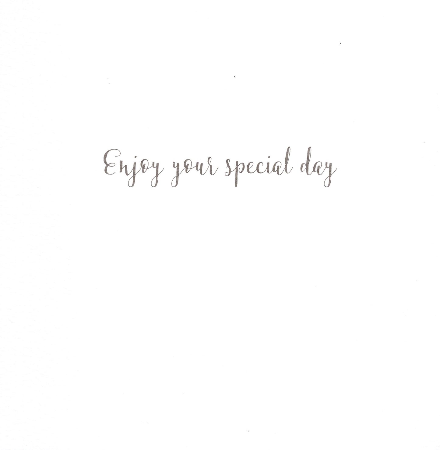 Llama Fiesta Happy Birthday Greeting Card