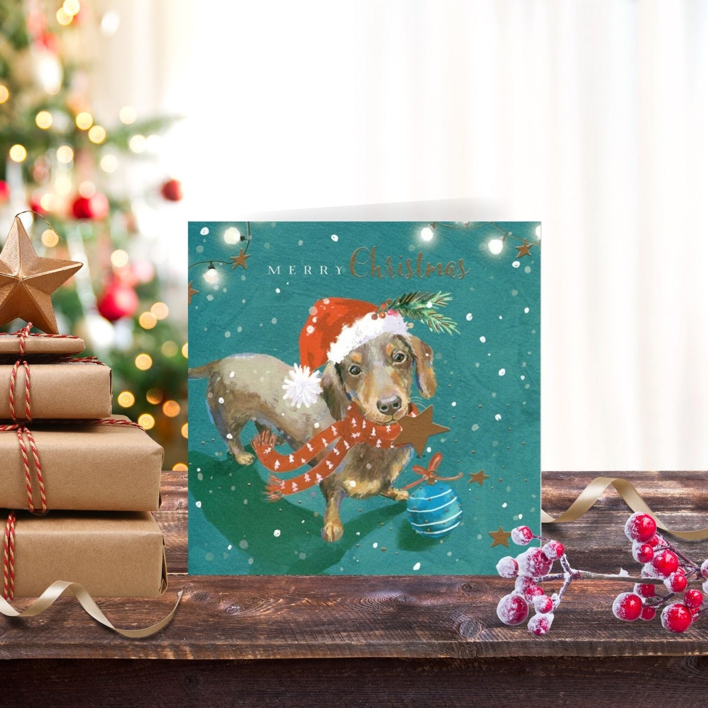 The Wildlife Merry Christmas Dachshund Santa Paws Artistic Single Christmas Card