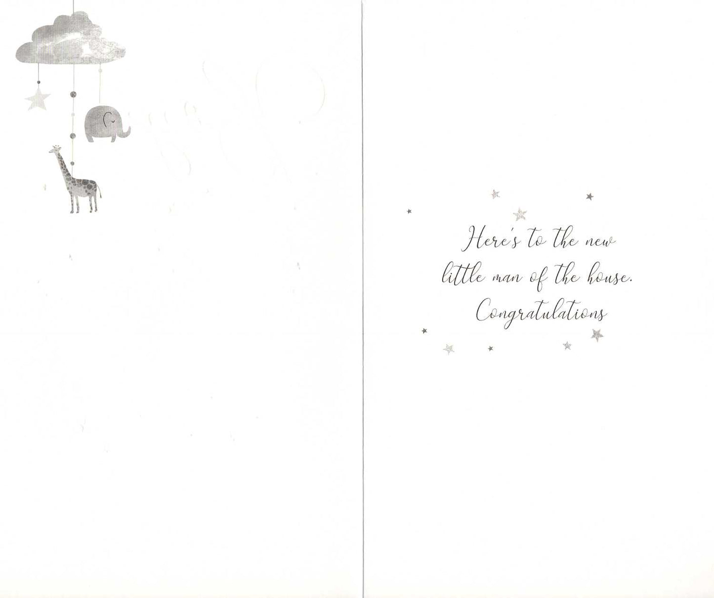 A New Baby Boy Adorable New Baby Card Embellished Champagne Greeting Card