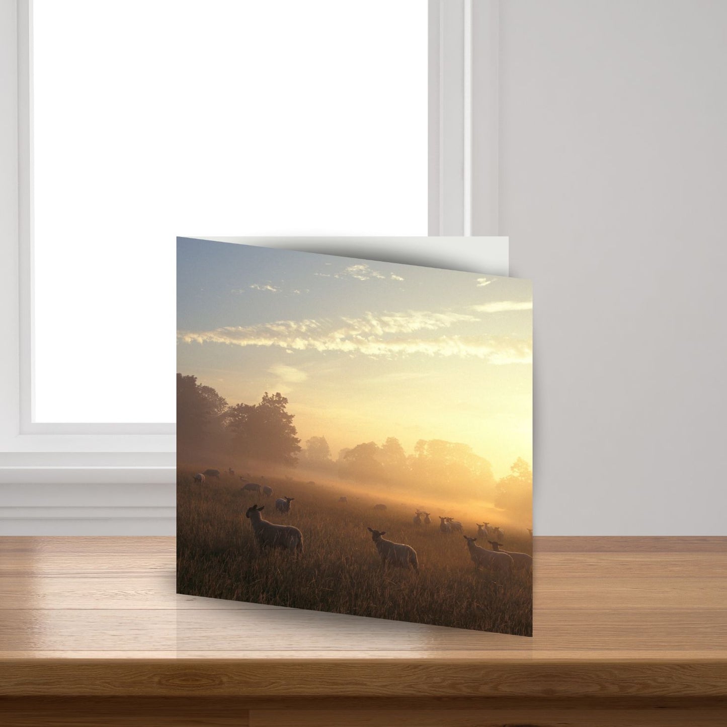 Nature At Dawn Sound Greeting Card