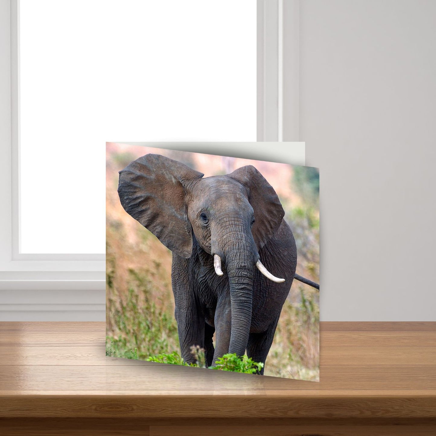 Elephant Sound Greeting Card