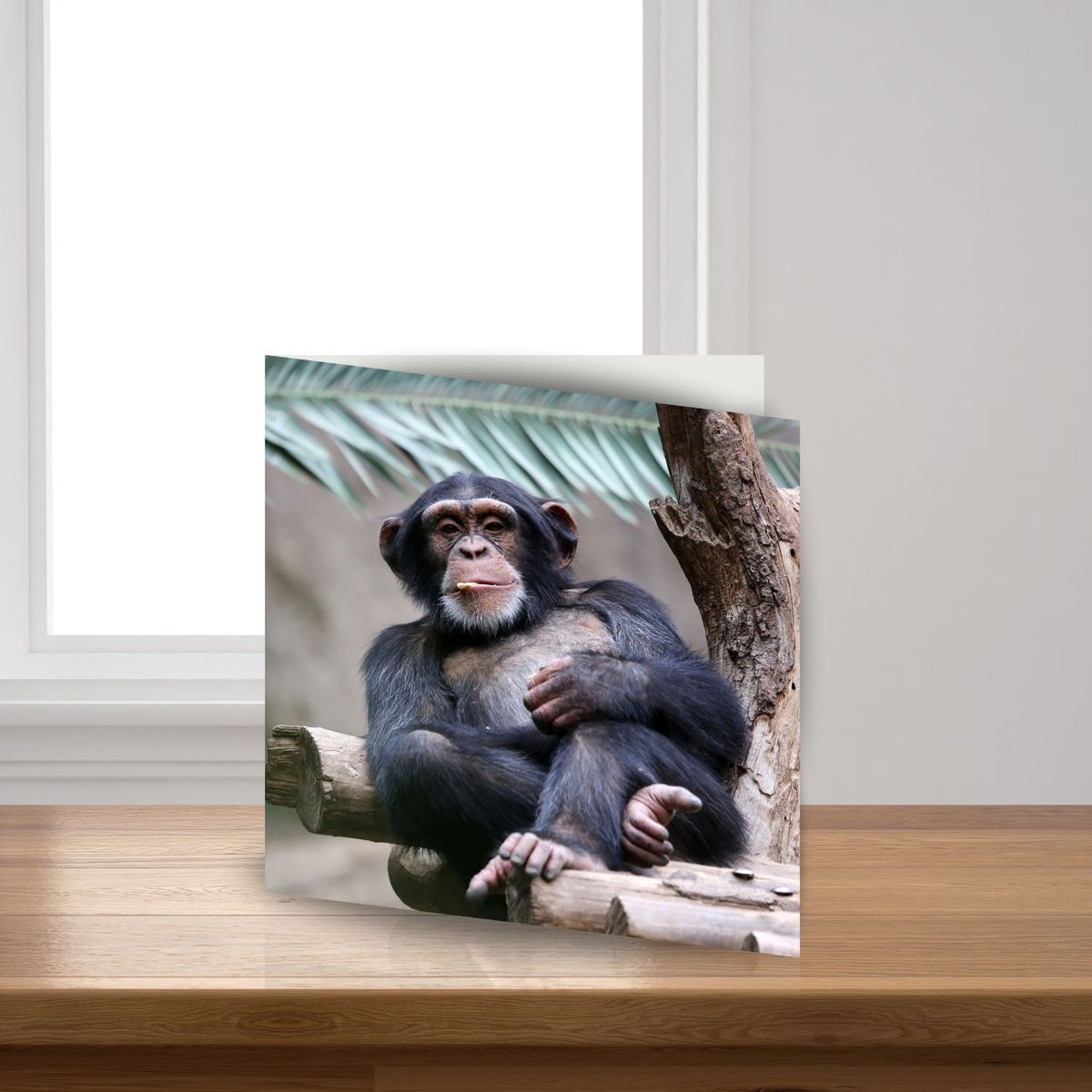Chimpanzees Sound Greeting Card
