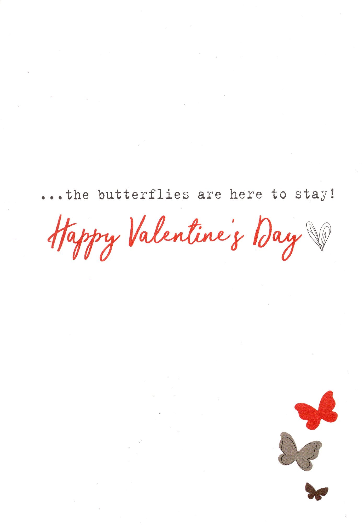 Because Of You Butterfly Valentine's Day Greeting Card
