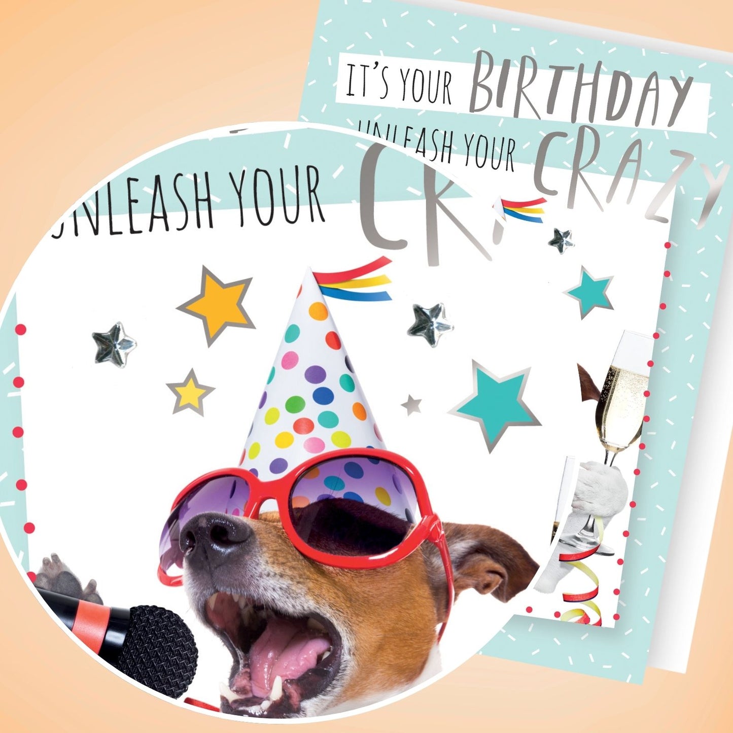 Hand-Finished Funny Birthday Greeting Card Embellished Party Karaoke Dog