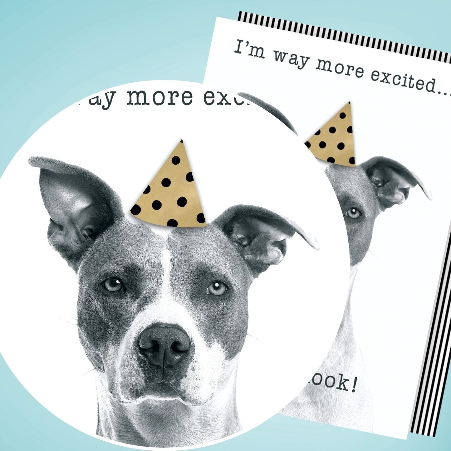 Hand-Finished Funny Birthday Greeting Card Embellished Dog In A Party Hat