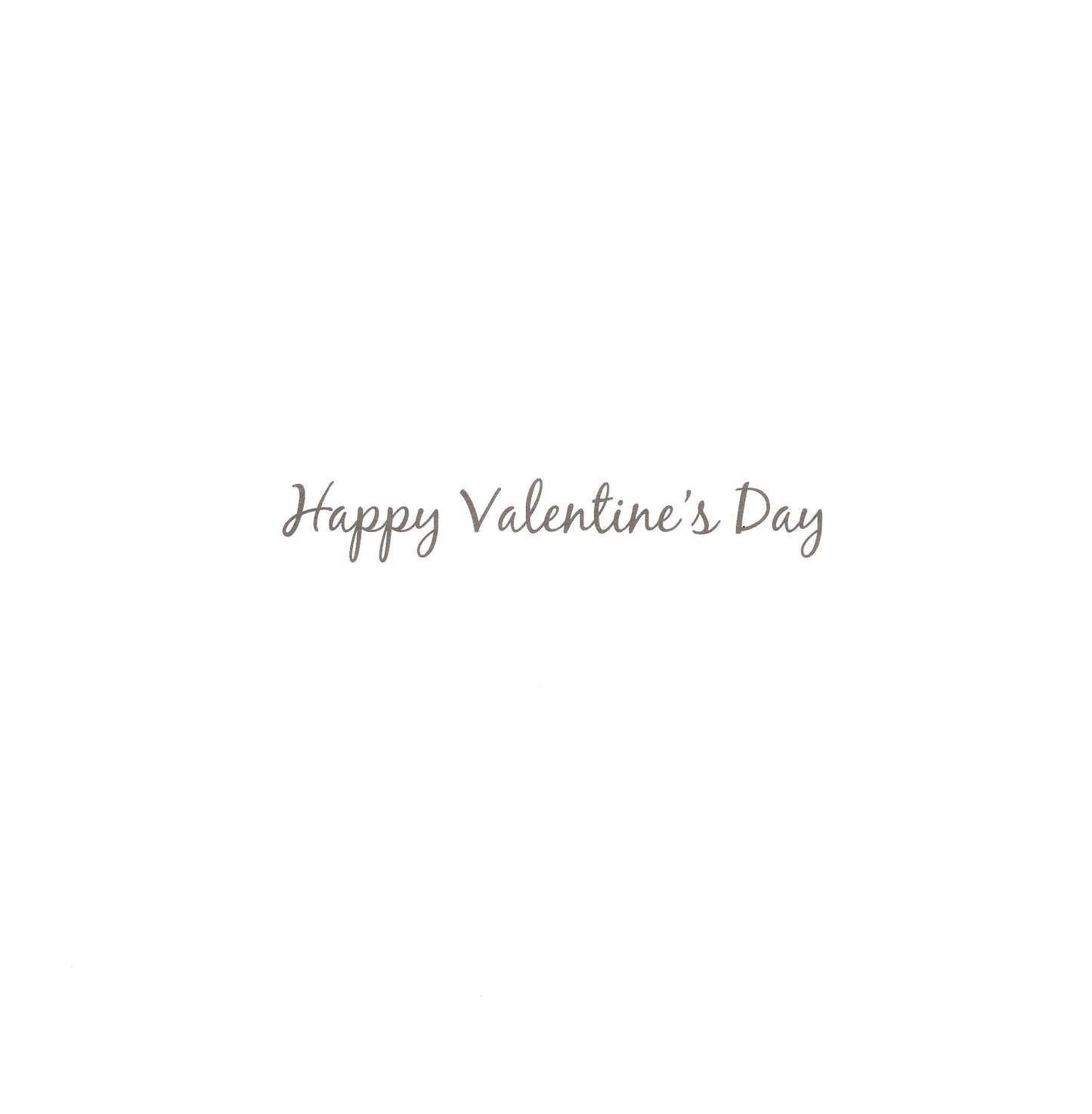 Love You Millions Valentine's Day Greeting Card