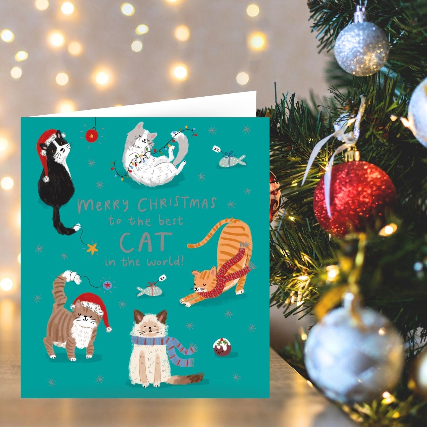 Cat Christmas Card Merry Christmas To The Best Cat Festive Cats Xmas Greetings