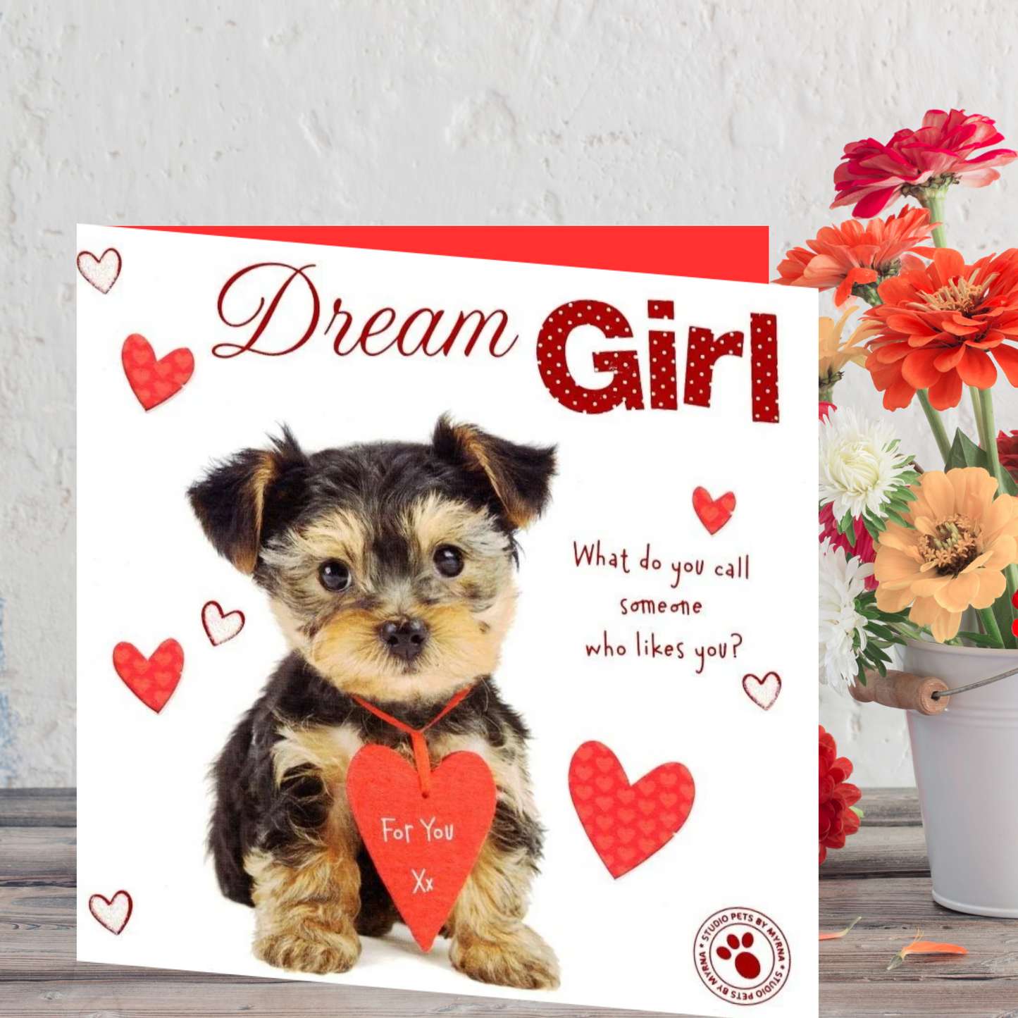 Dream Girl Cute Terrier Puppy Valentine's Day Card