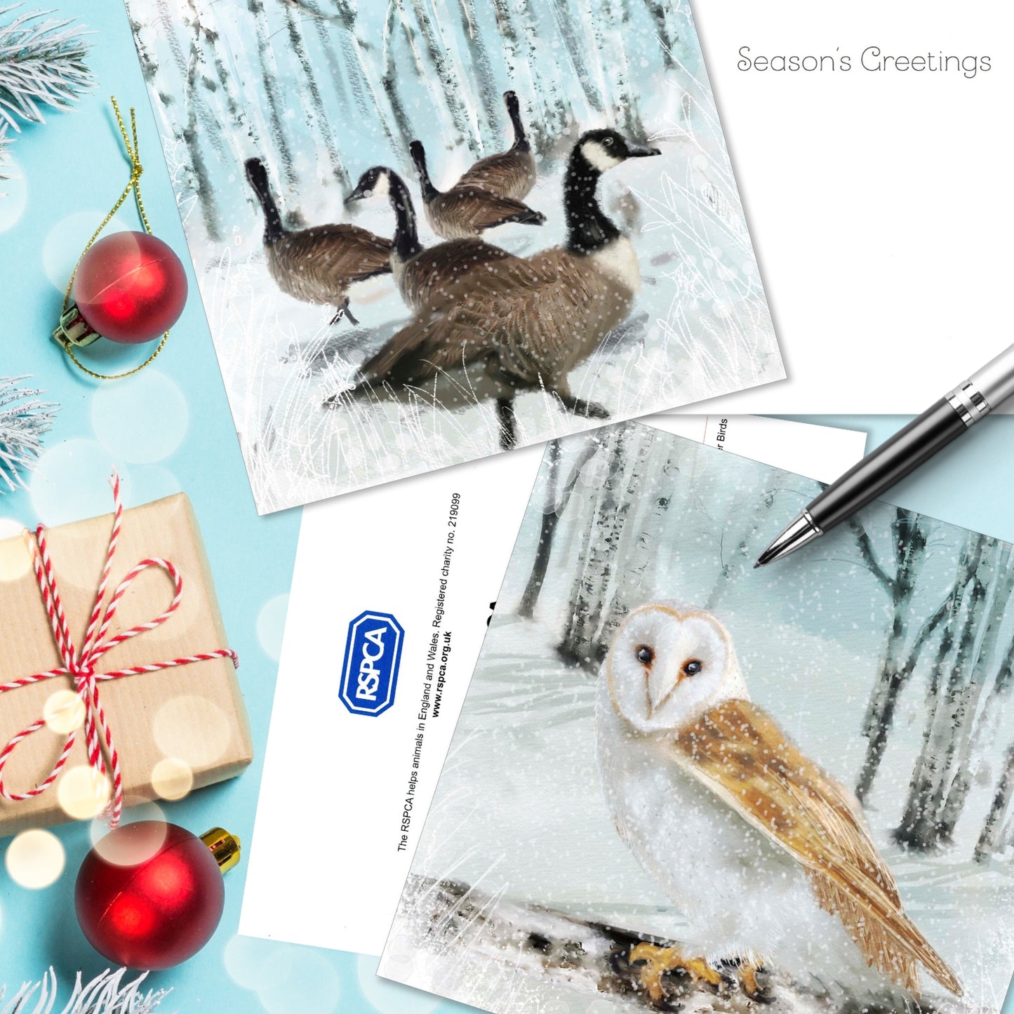 Box of 16 Winter Birds Owl & Geese RSPCA Charity Christmas Cards