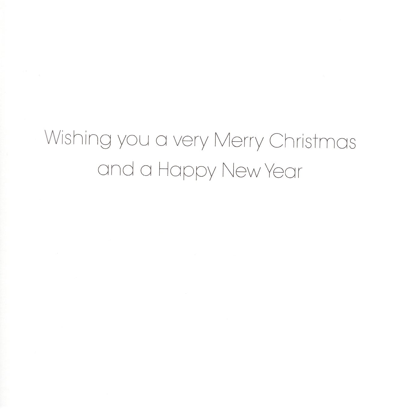 Box Of 20 Assorted RSPB Charity Christmas Cards Boxed Xmas Cards