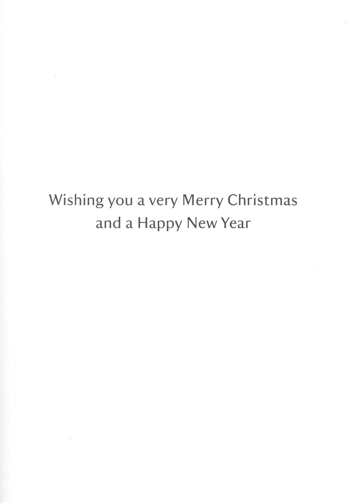 Box Of 20 Assorted National Trust Charity Christmas Cards Boxed Xmas Cards