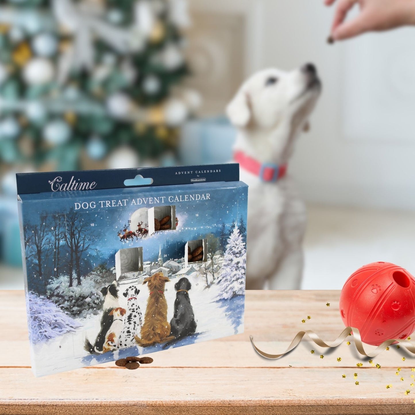 Dog Treats Pet Advent Calendar Waiting For Santa Christmas Advents For Dogs