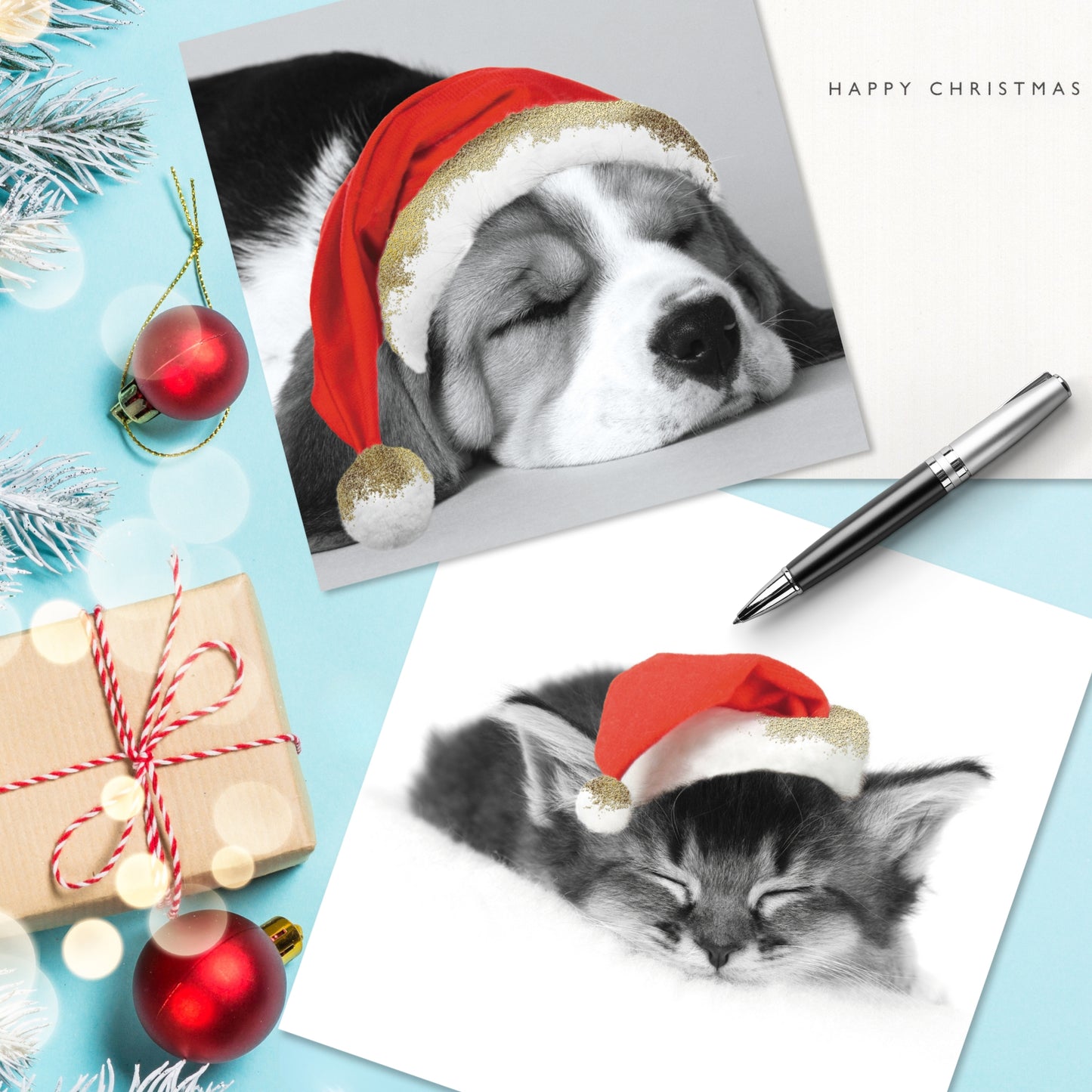 Box of 16 Puppy & Kitten Photographic Christmas Cards In 2 Designs