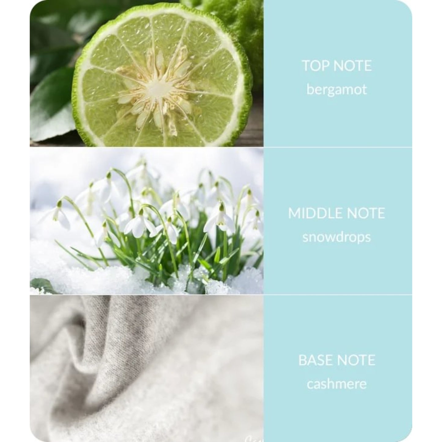 Heart & Home Fragrance Reed Diffuser 'Snowflake Sparkle' Snowdrop Cashmere Scent