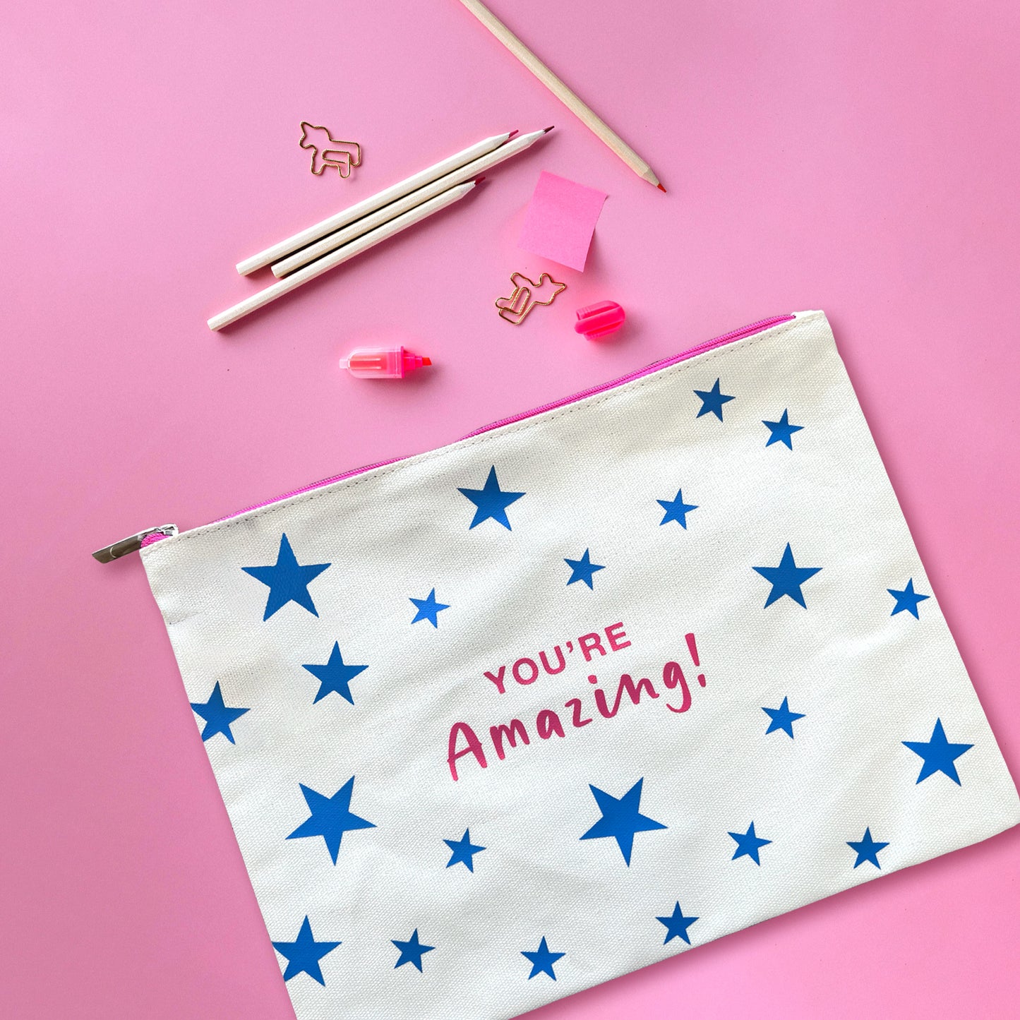 You're Amazing! Canvas Zip Pouch For Her Travel Storage Organiser Gift Idea