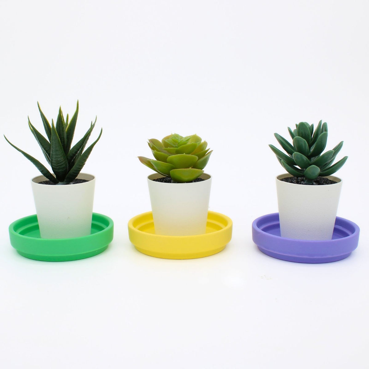 Love Plants Purple Terracotta Plant Pot Saucer Gift Idea
