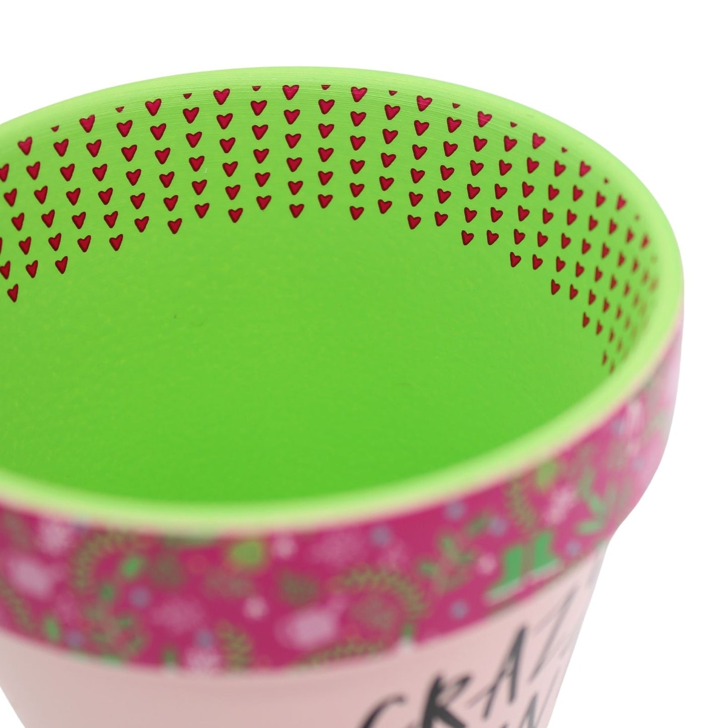 Love Plants Crazy Plant Lady Painted Terracotta Plant Pot Fun Gift Idea