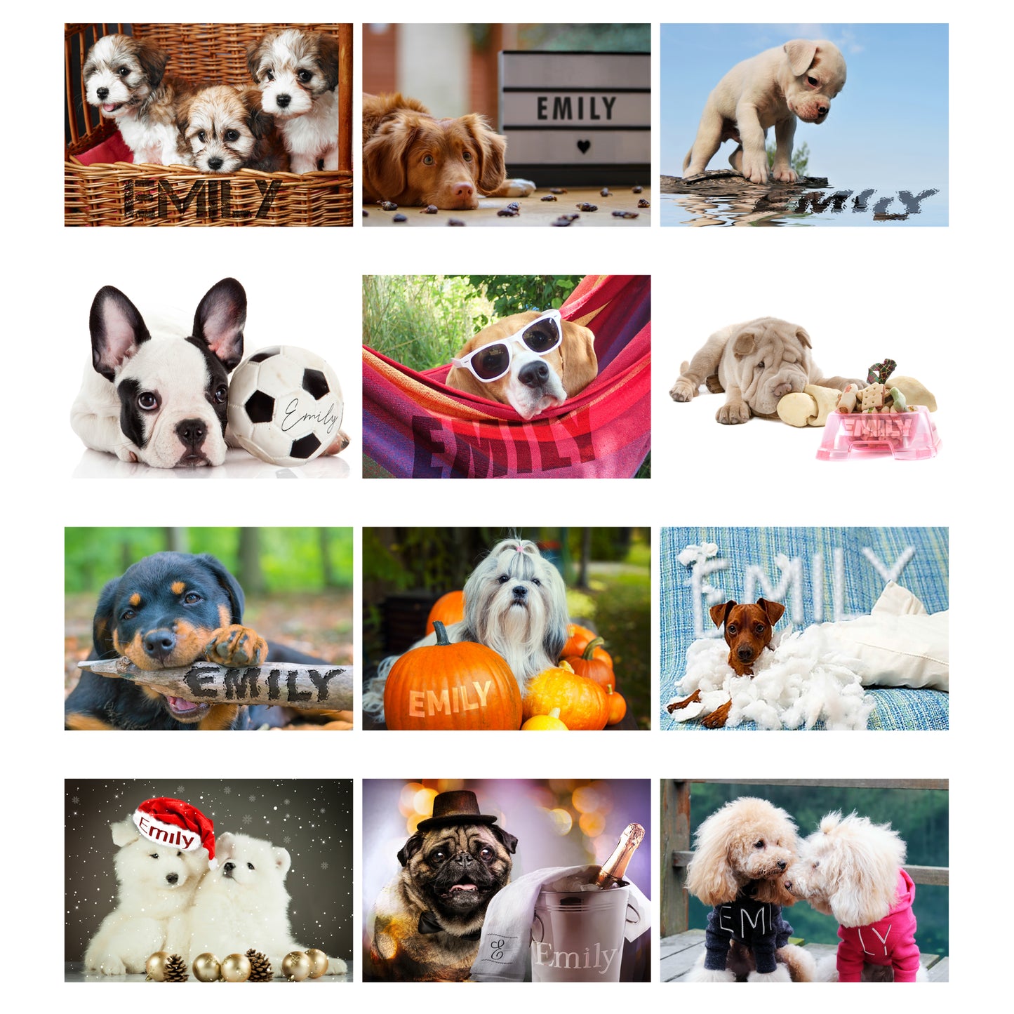 Personalised A4 Barking Mad Calendar - Personalise It!