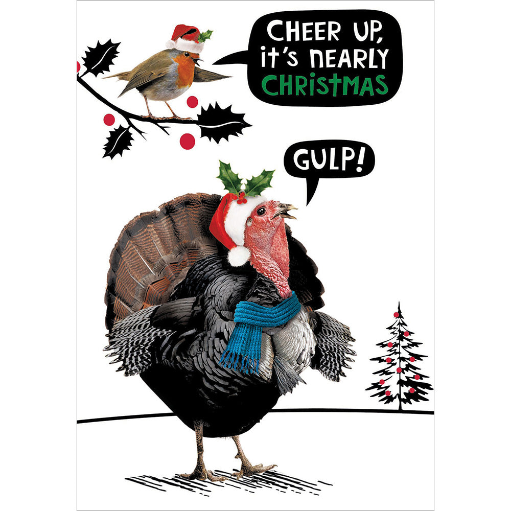 Funny Crackerjack Robin & Turkey Christmas Card