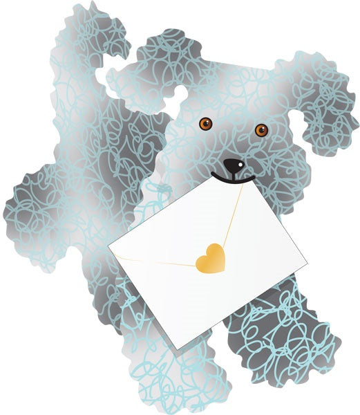Teddy Poodle 3D Animal Shaped Any Occasion Greeting Card