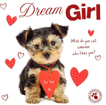 Dream Girl Cute Terrier Puppy Valentine's Day Card