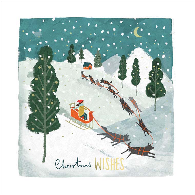 Pack of 8 Snow Sledding Marie Curie Charity Christmas Cards