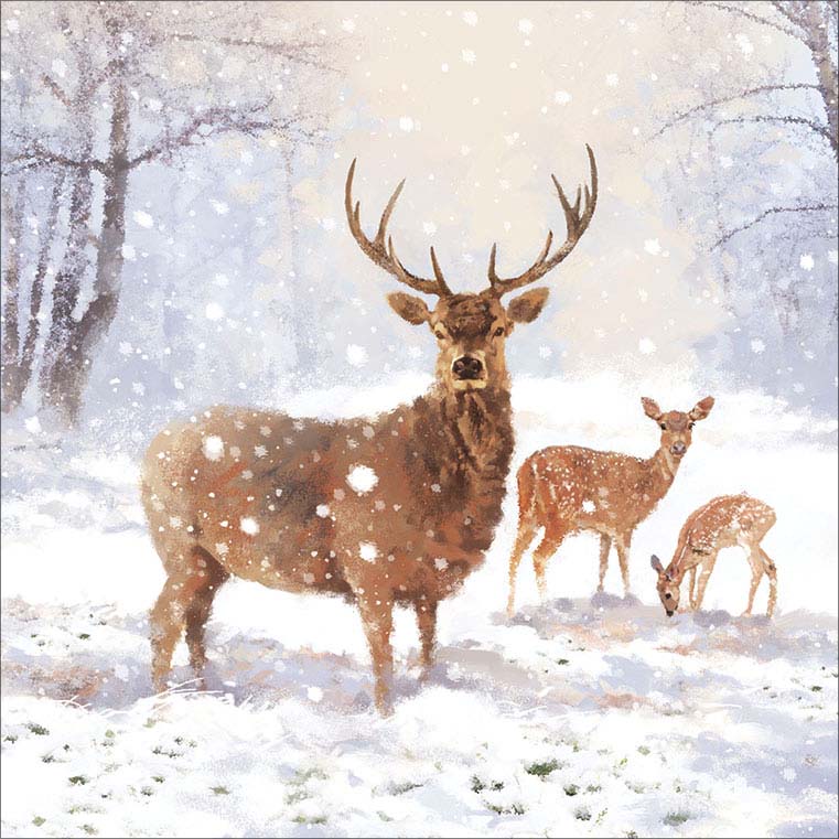 Pack of 8 Snowy Stag NSPCC Charity Christmas Cards