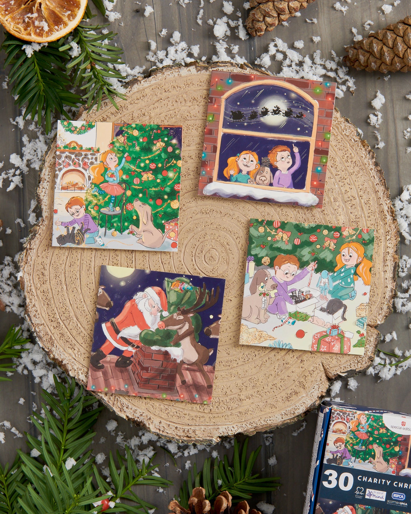 Box of 30 Assorted Mini Cartoon Multiple Charity Christmas Cards