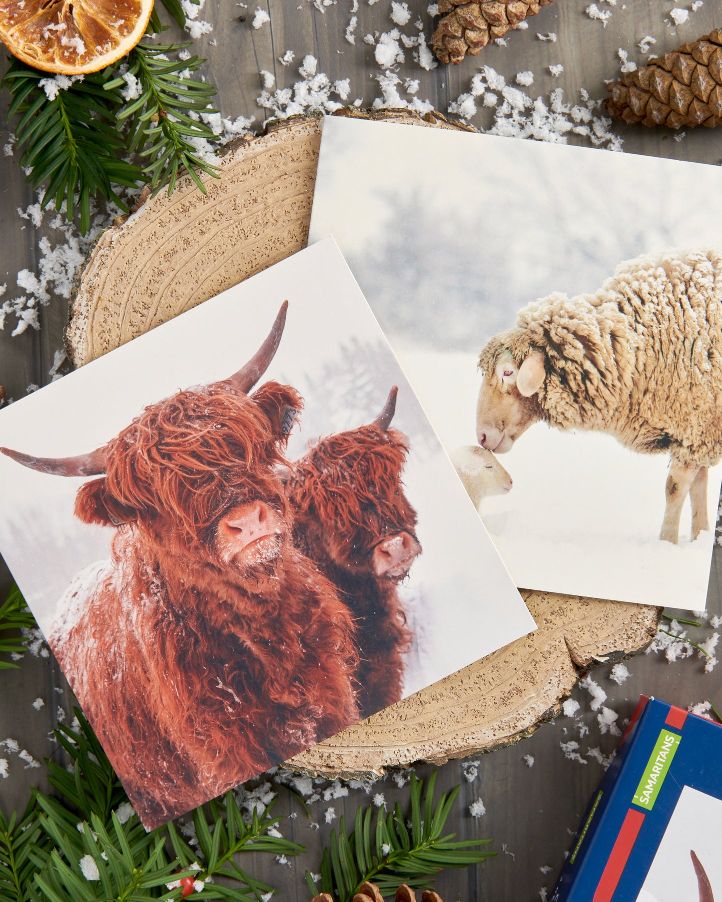 Box of 16 Festive Farm Animals Samaritans Charity Christmas Cards