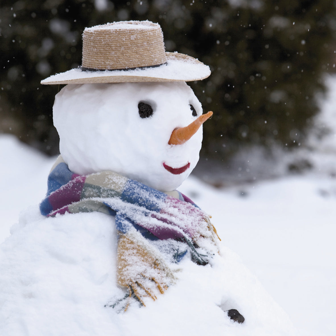 Pack of 8 The Jolly Snowman Mini Charity Christmas Cards