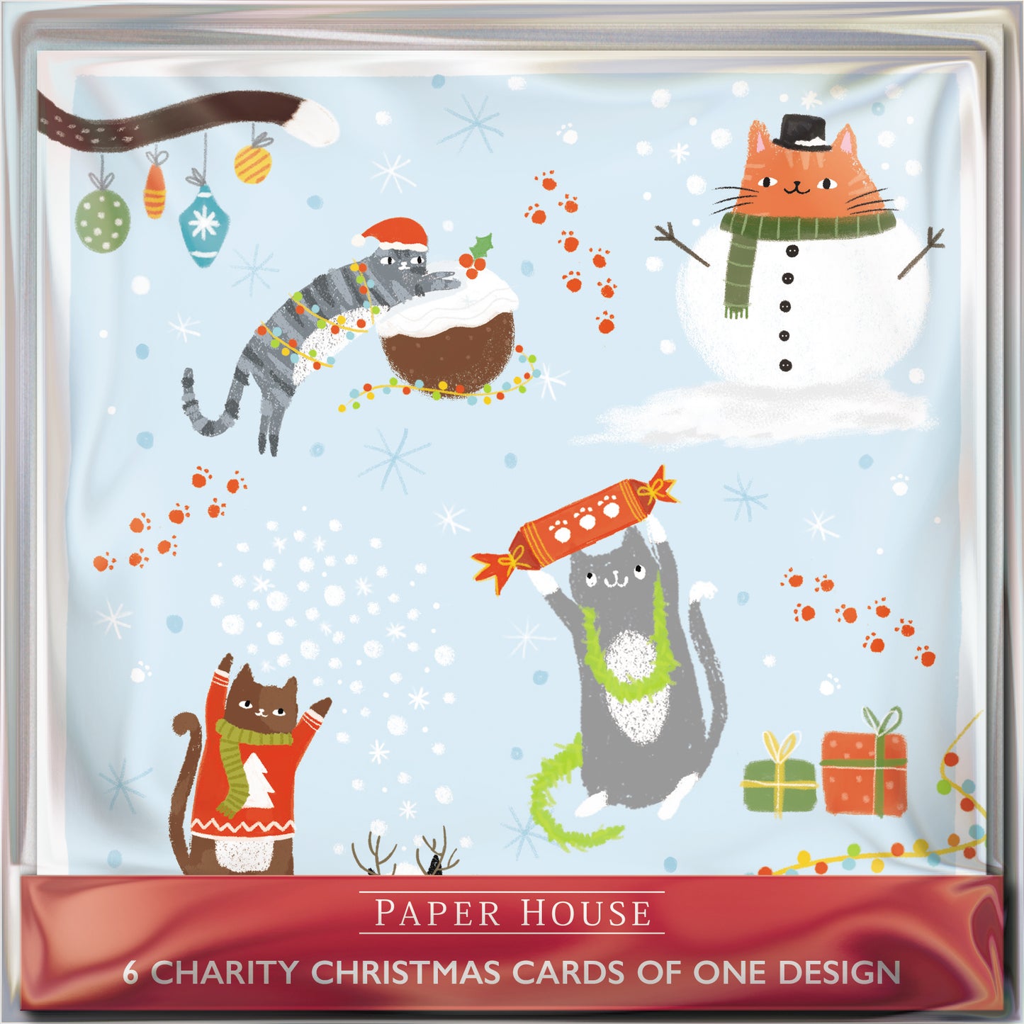Pack of 6 Merry Catmas Charity Christmas Cards