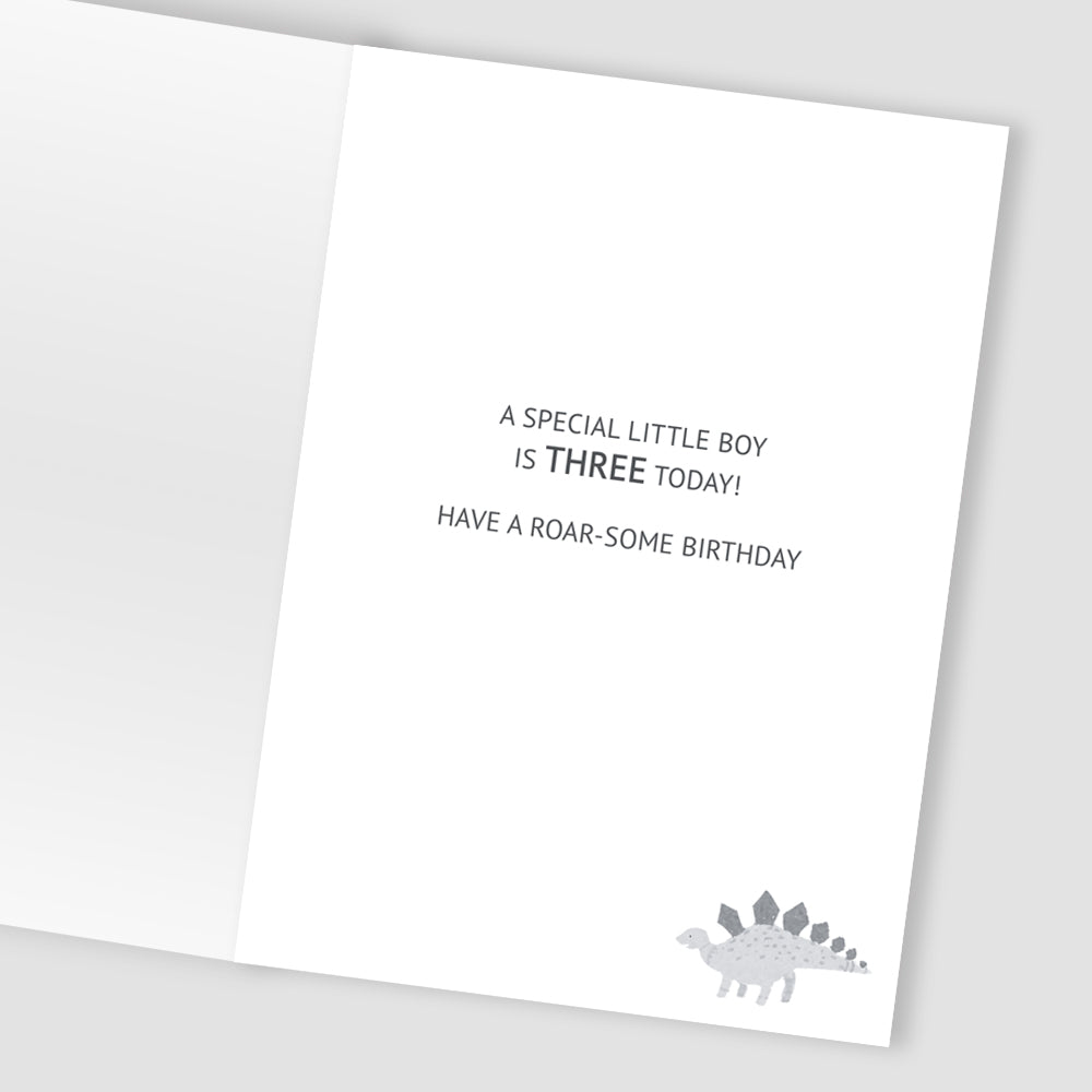 Boys 3rd Birthday Dinosaurs Embellished Greeting Card