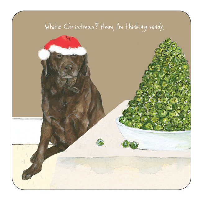 Choc Labrador Windy Christmas Sprouts Little Dog Laughed Coaster