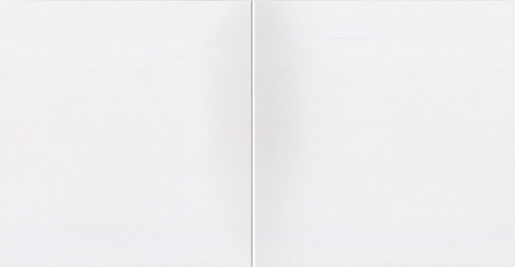 Zebra's Nuzzling Blank Photo Greeting Card