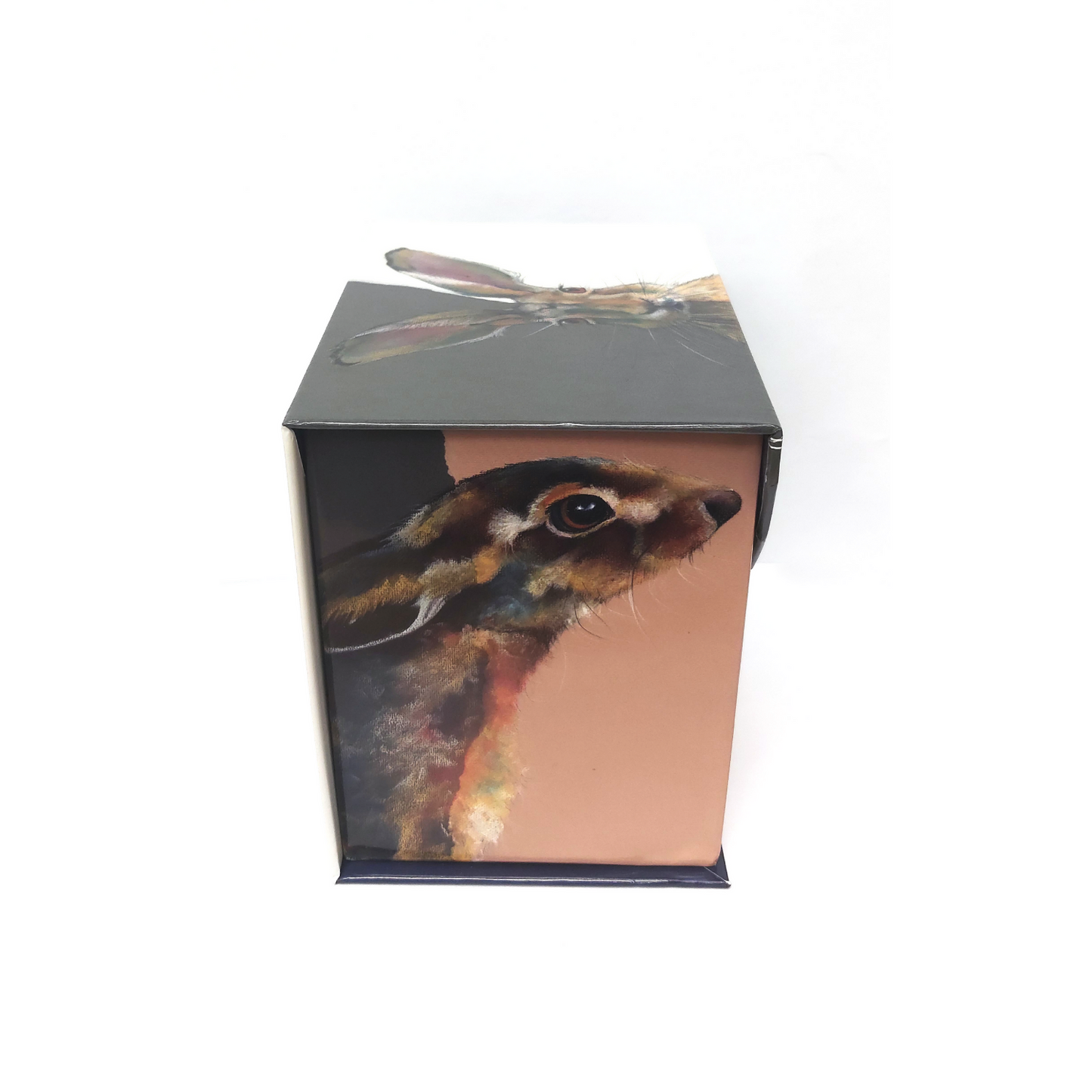 The Hare Collection Ethel Hare Fine Bone China Mug In Gift Box