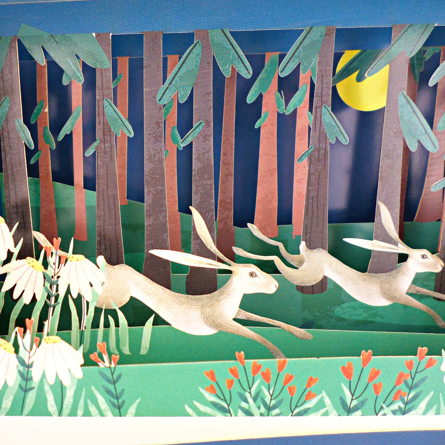 Message In A Bottle Hares Pop Up Any Occasion Greeting Card