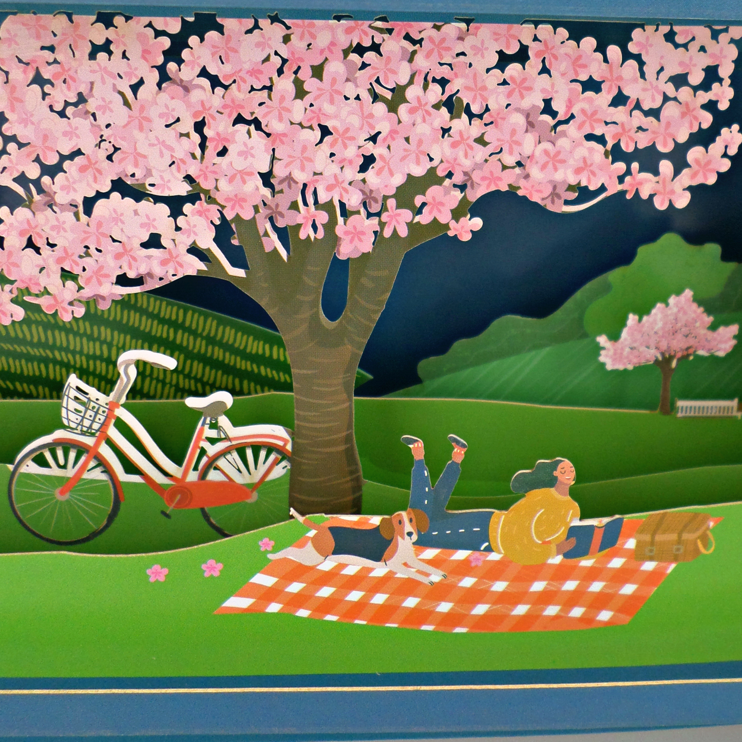 Message In A Bottle Blossom Pop Up Any Occasion Greeting Card