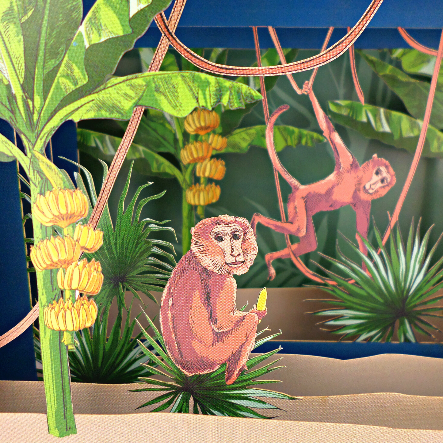 Message In A Bottle Monkeys Pop Up Any Occasion Greeting Card