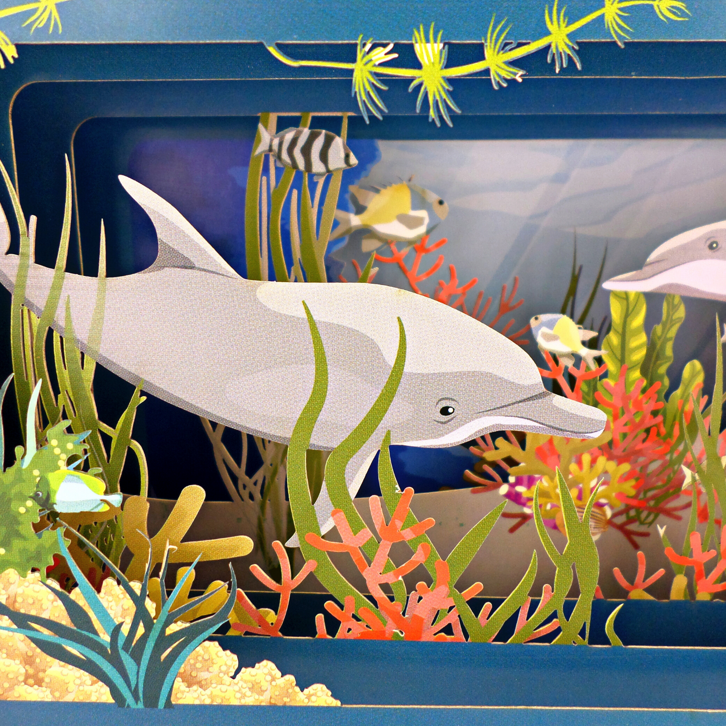 Message In A Bottle Dolphins Pop Up Any Occasion Greeting Card