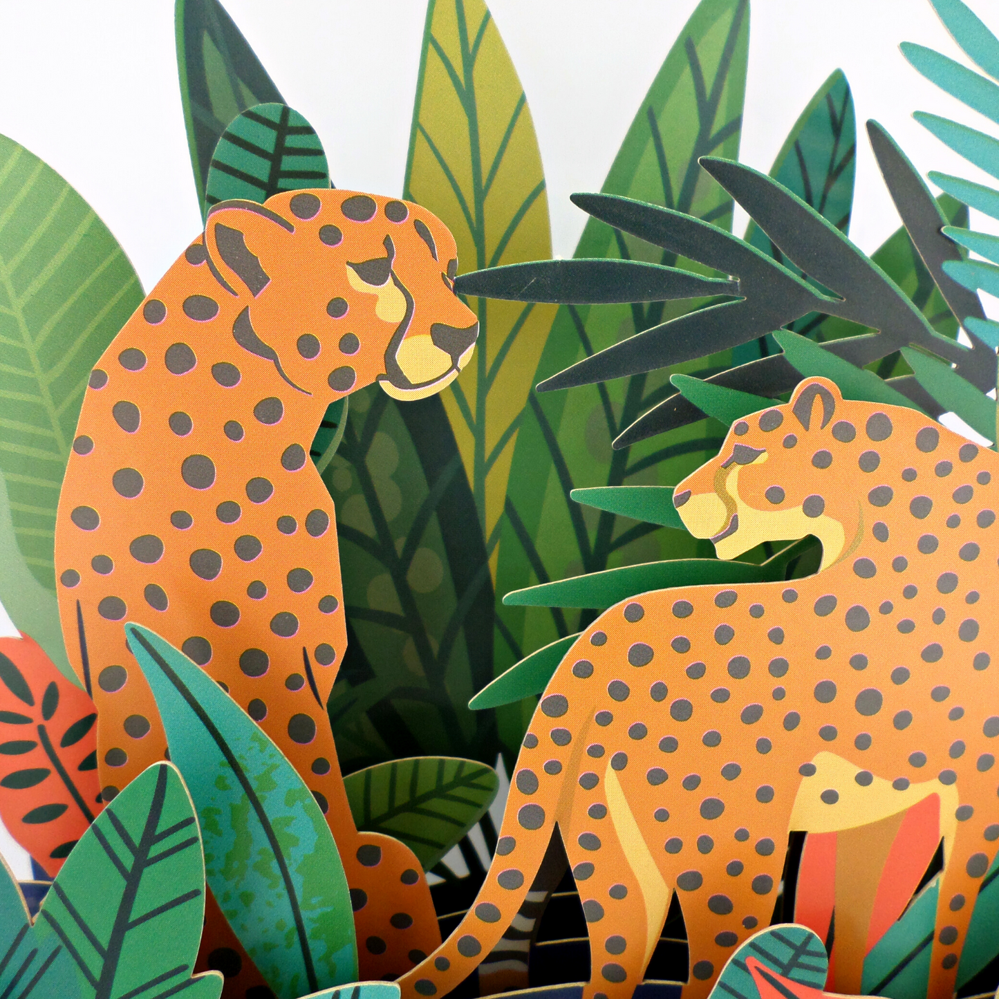 Colourful Cheetahs Any Occasion 3D Pop Up Greeting Card