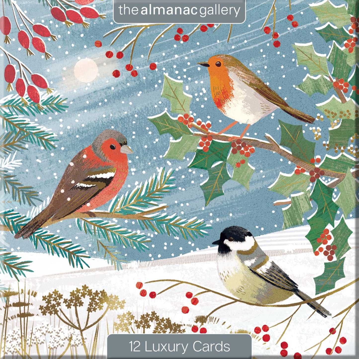Box of 12 Almanac British Garden Birds Christmas Cards In 3 Designs