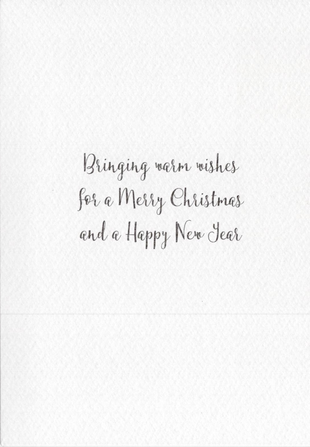 The Wildlife Special Granny Christmas Cat Christmas Card