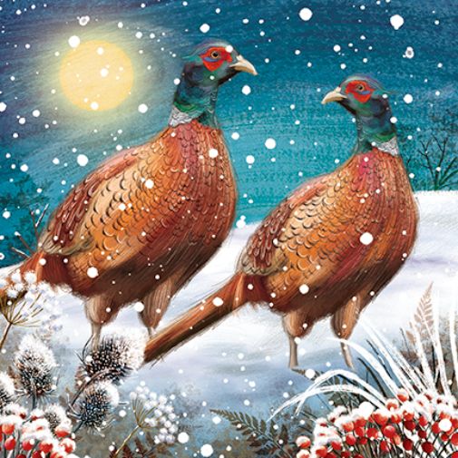 Box of 18 Paper House Festive Robin & Pheasants Christmas Cards